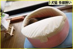 にほんブログ村 犬ブログ 犬猫 多頭飼いへ