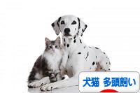 にほんブログ村 犬ブログ 犬猫 多頭飼いへ