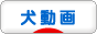 にほんブログ村 犬ブログ 犬動画へ