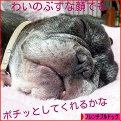 にほんブログ村 犬ブログ フレンチブルドッグへ