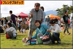 にほんブログ村 犬ブログ フレンチブルドッグへ