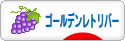 にほんブログ村 犬ブログ ゴールデンレトリバーへ