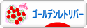 にほんブログ村 犬ブログ ゴールデンレトリバーへ