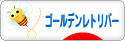 にほんブログ村 犬ブログ ゴールデンレトリバーへ