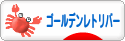 にほんブログ村 犬ブログ ゴールデンレトリバーへ