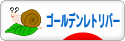 にほんブログ村 犬ブログ ゴールデンレトリバーへ