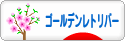 にほんブログ村 犬ブログ ゴールデンレトリバーへ