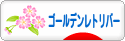 にほんブログ村 犬ブログ ゴールデンレトリバーへ