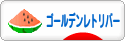 にほんブログ村 犬ブログ ゴールデンレトリバーへ