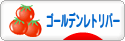 にほんブログ村 犬ブログ ゴールデンレトリバーへ