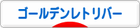 http://dog.blogmura.com/golden/img/golden200_40.gif