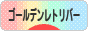 にほんブログ村 犬ブログ ゴールデンレトリバーへ