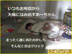 にほんブログ村 犬ブログ ゴールデンレトリバーへ