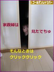 にほんブログ村 犬ブログ ゴールデンレトリバーへ