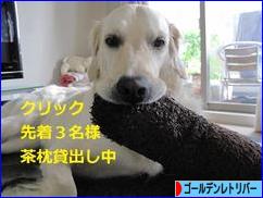 にほんブログ村 犬ブログ ゴールデンレトリバーへ