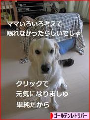 にほんブログ村 犬ブログ ゴールデンレトリバーへ