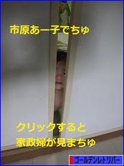 にほんブログ村 犬ブログ ゴールデンレトリバーへ