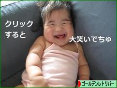 にほんブログ村 犬ブログ ゴールデンレトリバーへ