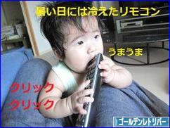 にほんブログ村 犬ブログ ゴールデンレトリバーへ