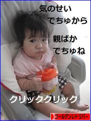 にほんブログ村 犬ブログ ゴールデンレトリバーへ