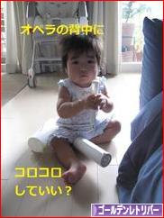 にほんブログ村 犬ブログ ゴールデンレトリバーへ