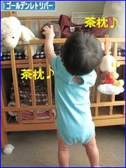 にほんブログ村 犬ブログ ゴールデンレトリバーへ