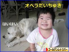 にほんブログ村 犬ブログ ゴールデンレトリバーへ