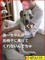 にほんブログ村 犬ブログ ゴールデンレトリバーへ