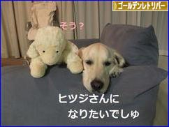 にほんブログ村 犬ブログ ゴールデンレトリバーへ