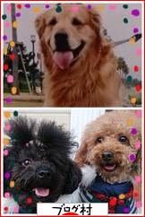 にほんブログ村 犬ブログ ゴールデンレトリバーへ