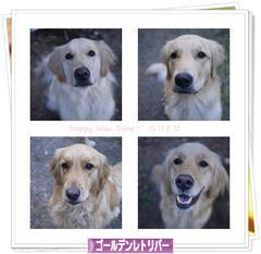 にほんブログ村 犬ブログ ゴールデンレトリバーへ