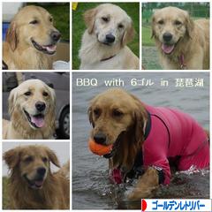 にほんブログ村 犬ブログ ゴールデンレトリバーへ