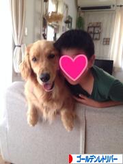にほんブログ村 犬ブログ ゴールデンレトリバーへ