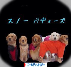 にほんブログ村 犬ブログ ゴールデンレトリバーへ