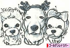 にほんブログ村 犬ブログ ゴールデンレトリバーへ