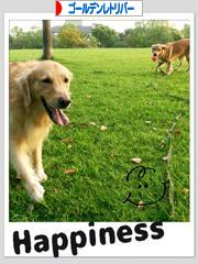 にほんブログ村 犬ブログ ゴールデンレトリバーへ