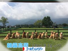 にほんブログ村 犬ブログ ゴールデンレトリバーへ
