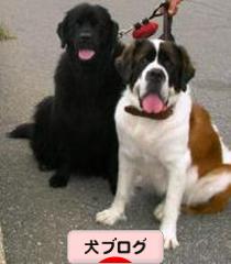 にほんブログ村 犬ブログへ