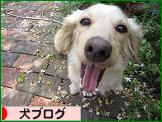にほんブログ村 犬ブログへ