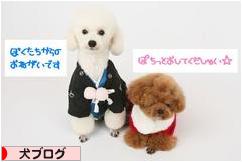 にほんブログ村 犬ブログへ