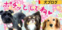 にほんブログ村 犬ブログへ