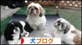 にほんブログ村 犬ブログへ