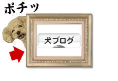 にほんブログ村 犬ブログへ