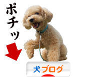 にほんブログ村 犬ブログへ