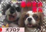 にほんブログ村 犬ブログへ