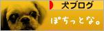 にほんブログ村 犬ブログへ