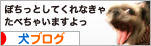 にほんブログ村 犬ブログへ