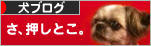 にほんブログ村 犬ブログへ