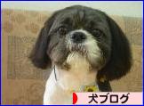 にほんブログ村 犬ブログへ