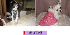 にほんブログ村 犬ブログへ